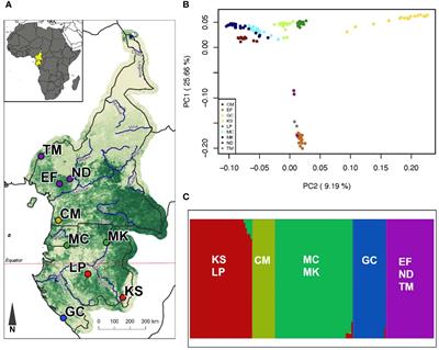 Environmental variation predicts patterns of genomic variation in an African tropical forest frog